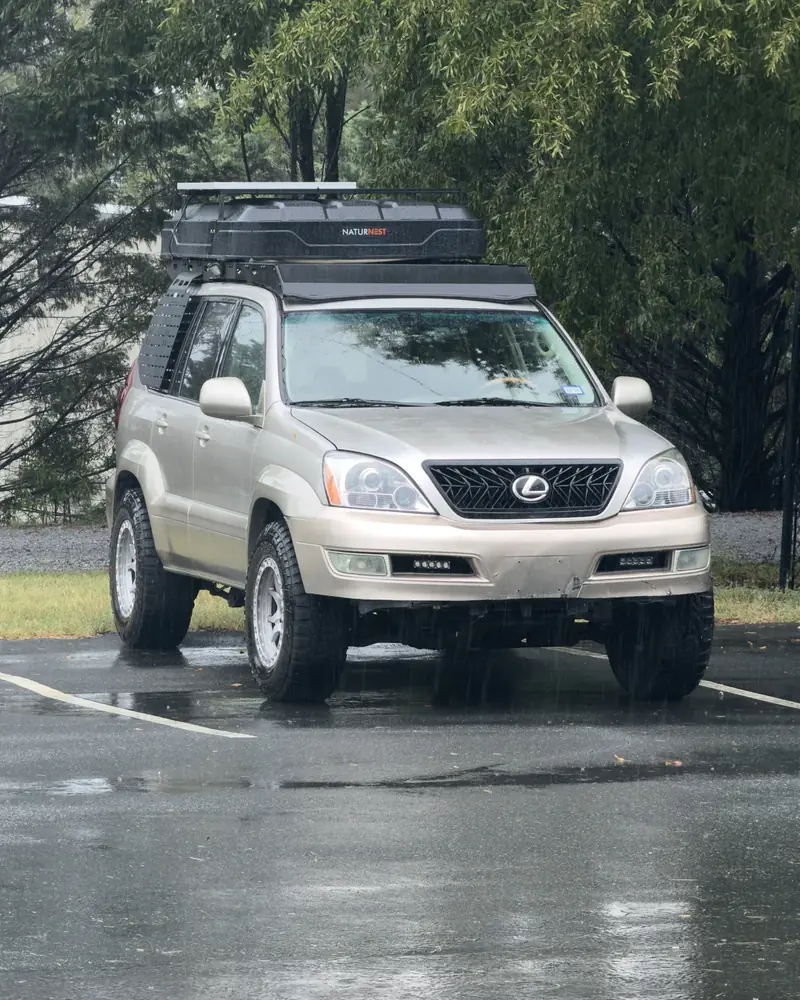 Ginny head-on in the rain